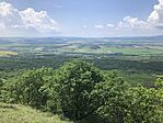 IMG_0475