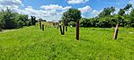 IMG_20240605_114745