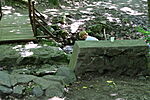 1Q2A0682