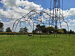 IMG_20240606_124021.jpg