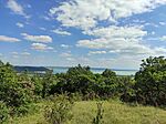 IMG_20240615_153038.jpg