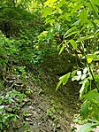 IMG_20240619_124204