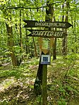 IMG_20240619_124212