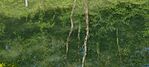 IMG_20240520_083659
