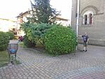 IMG_20240727_172232