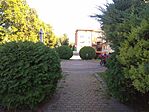 IMG_20240727_172428