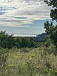IMG_9956