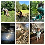IMG_0441
