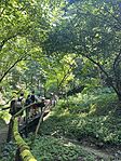 IMG_0294