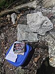 IMG_20240719_225933