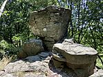 IMG_8599
