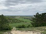 IMG_7958