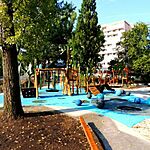 IMG_3594