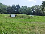 IMG_20240714_122956