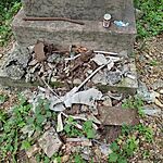 IMG_20240706_070706