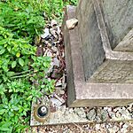 IMG_20240706_070757