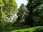 DSC09353