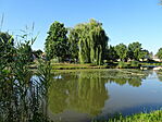 DSC09402