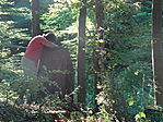 DSC09404