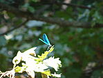 DSC09456