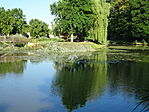 DSC09399