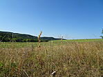 DSC09461