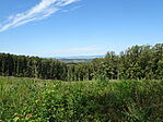 DSC09478