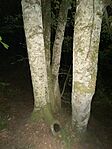 IMG_3360