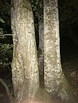 IMG_3359