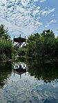 IMG_0981