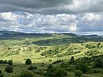 IMG_5540
