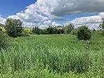 IMG_5542