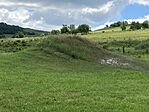IMG_5545