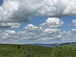 IMG_5547