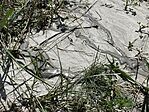 IMG_5550