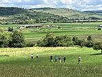 IMG_5554