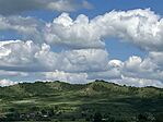 IMG_5555