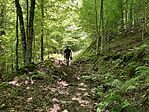 IMG_5723