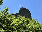 IMG_5730