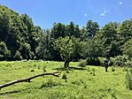 IMG_5731