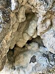 IMG_5894