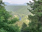 IMG_5912