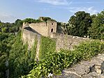 IMG_5914