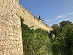IMG_5916