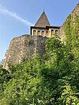 IMG_5917