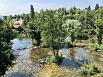 IMG_6005