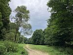 IMG_6138