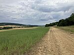 IMG_6143