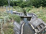 IMG_6162