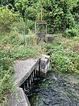 IMG_6164